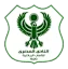 المصري
